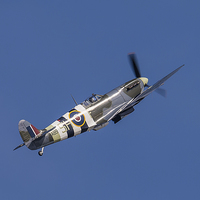 Buy canvas prints of  Supermarine Spitfire by Lee Wilson