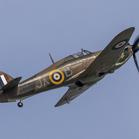 Buy canvas prints of Hawker Hurricane LF363 by Lee Wilson