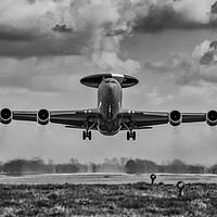 Buy canvas prints of Take Off by Lee Wilson