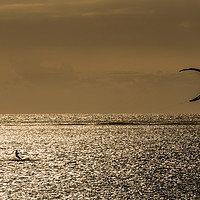 Buy canvas prints of Golden Kite Surfer by Lee Wilson