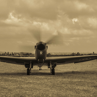 Buy canvas prints of  spitfire by curtis taylor