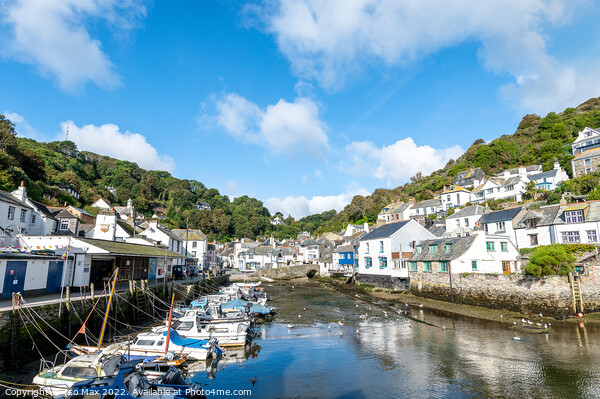 Polperro, Cornwall Picture Board by The Tog