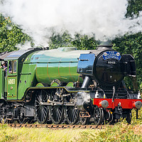 Buy canvas prints of The Flying Scotsman, Severn Valley 25/09/2016 by The Tog