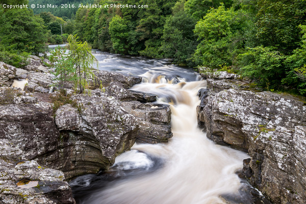 Invermoriston Falls, Scotland Picture Board by The Tog
