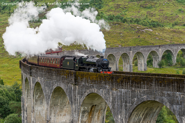 The Jacobite, Glenfinnan Viaduct, Scotland Picture Board by The Tog