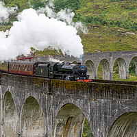 Buy canvas prints of The Jacobite, Glenfinnan Viaduct, Scotland by The Tog
