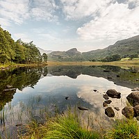 Buy canvas prints of Blea Tarn, Lake District by The Tog