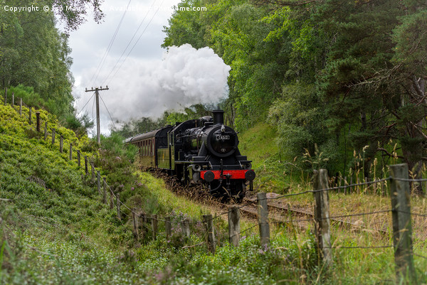 Strathspey Steam Railway, Aviemore, Scotland Picture Board by The Tog