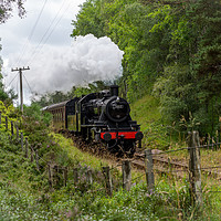 Buy canvas prints of Strathspey Steam Railway, Aviemore, Scotland by The Tog