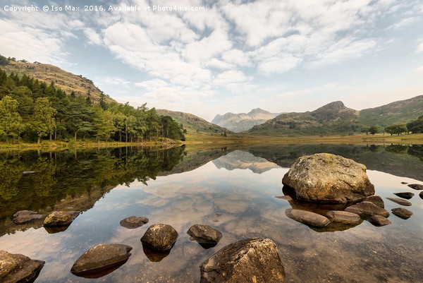 Blea Tarn, Lake District Picture Board by The Tog