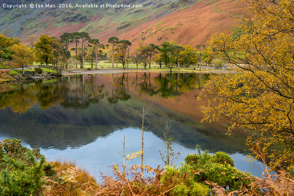 Autumn Colours In Buttermere, Lake District Picture Board by The Tog