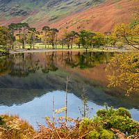 Buy canvas prints of Autumn Colours In Buttermere, Lake District by The Tog
