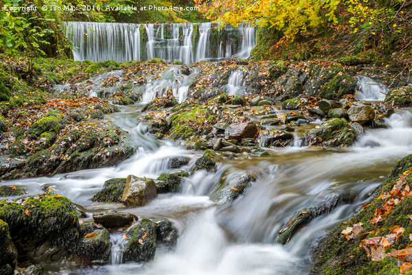Stock Ghyll Force, Ambleside, Lake District Picture Board by The Tog