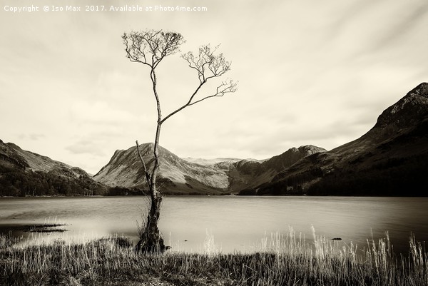 Buttermere Picture Board by The Tog
