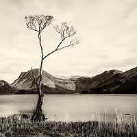 Buy canvas prints of Buttermere by The Tog