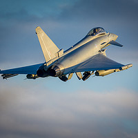 Buy canvas prints of Touch And Go With, RAF Typhoon ZK351 by The Tog
