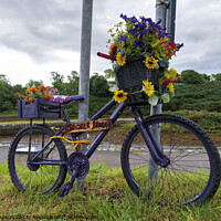 Buy canvas prints of Brighter Brora Bike by Alan Simpson
