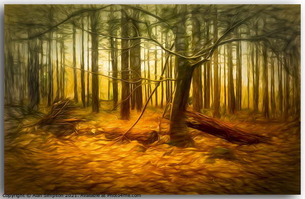 Autumn Woods (abstract) Picture Board by Alan Simpson