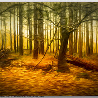 Buy canvas prints of Autumn Woods (abstract) by Alan Simpson