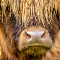 Buy canvas prints of Highland Cow by Alan Simpson