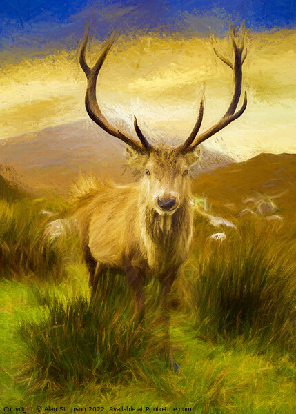 Scottish Deer (Painted) Picture Board by Alan Simpson