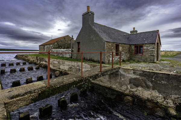 Lochmore Cottage Picture Board by Alan Simpson
