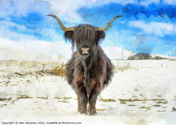Highland Cow in the snow Picture Board by Alan Simpson