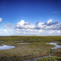 Buy canvas prints of  Thornham Marshes by Alan Simpson