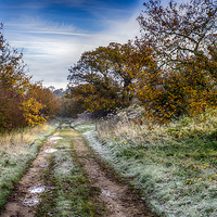 Buy canvas prints of  Ringstead Common by Alan Simpson