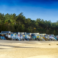 Buy canvas prints of Wells-Next-The-Sea Beach Huts by Alan Simpson