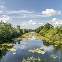 Buy canvas prints of  Cut-Off Channel, Methwold, Norfolk by Alan Simpson