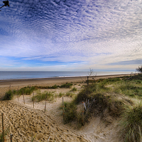 Buy canvas prints of  Holme Dunes Nature Reserve by Alan Simpson