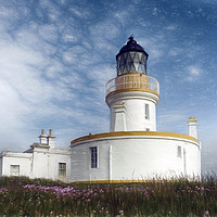 Buy canvas prints of Chanonry Point Lighthouse by Alan Simpson