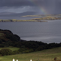 Buy canvas prints of Skye Rainbow by Alan Simpson