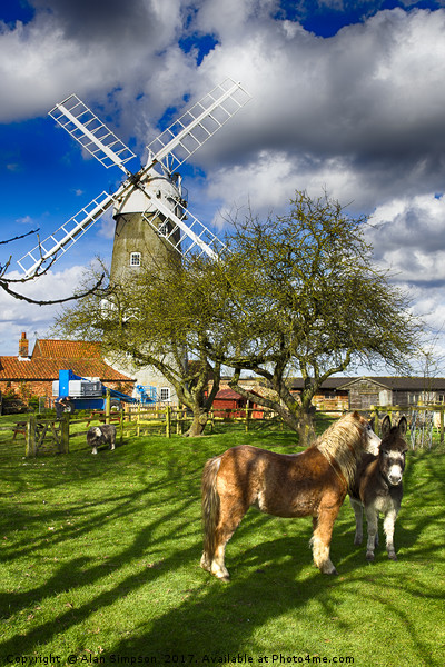 Great Bircham Windmill Picture Board by Alan Simpson