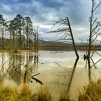 Buy canvas prints of Loch Mallachie by Alan Simpson