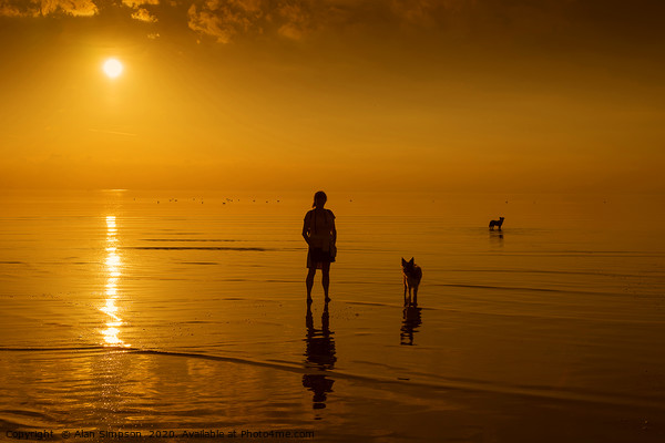 Beach Sunset with the Dogs Picture Board by Alan Simpson