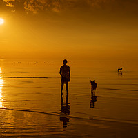 Buy canvas prints of Beach Sunset with the Dogs by Alan Simpson