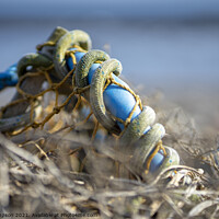 Buy canvas prints of Lobster Pot by Alan Simpson