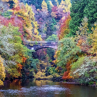 Buy canvas prints of  Autumn Colours over the River Foyers by Lynda Simpson