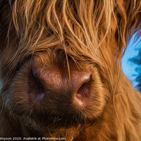 Buy canvas prints of Nosey Highland Cow by Lynda Simpson