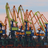 Buy canvas prints of Dayglow Cranes by Andrew Wright