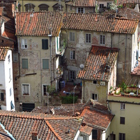 Buy canvas prints of  Lucca Roof Tiles by Andrew Wright