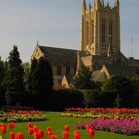 Buy canvas prints of  The Abbey Gardens, Bury St Edmunds by Andrew Wright