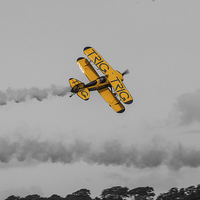 Buy canvas prints of  Pitts Special by Simon Hackett