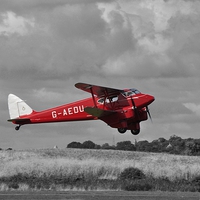 Buy canvas prints of  DH90A DRAGONFLY  by Simon Hackett