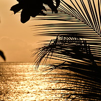 Buy canvas prints of Costa Rica at Sunset by Simon Hackett