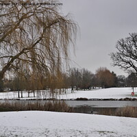 Buy canvas prints of Horton Country Park in Winter by Simon Hackett
