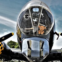 Buy canvas prints of The Nose of Sally B by Simon Hackett