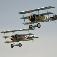 Buy canvas prints of  Fokker DrI replica by Andy Stringer